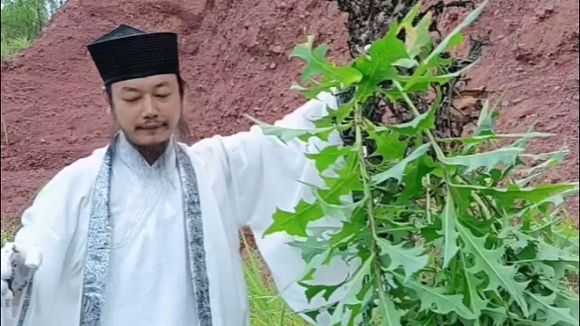 贫道免费寄送量身定制的凉茶