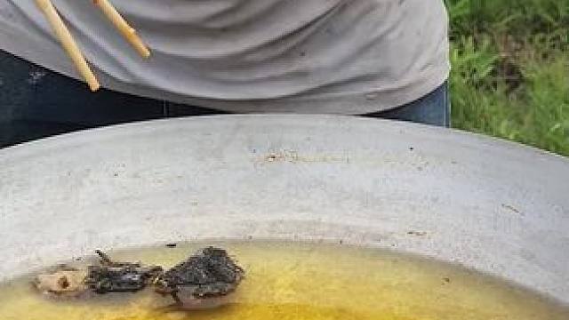 东南亚大叔6 #东南亚大叔#东南亚美食 #我的乡村生活 #农村美食记录生活 #农村生活美食