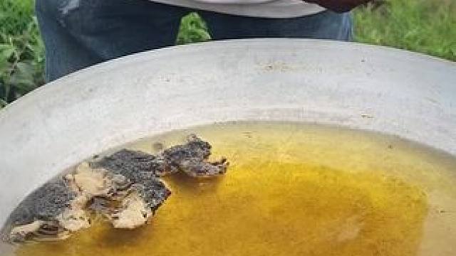 东南亚大叔4 #东南亚大叔#东南亚美食 #我的乡村生活 #农村美食记录生活 #农村生活美食