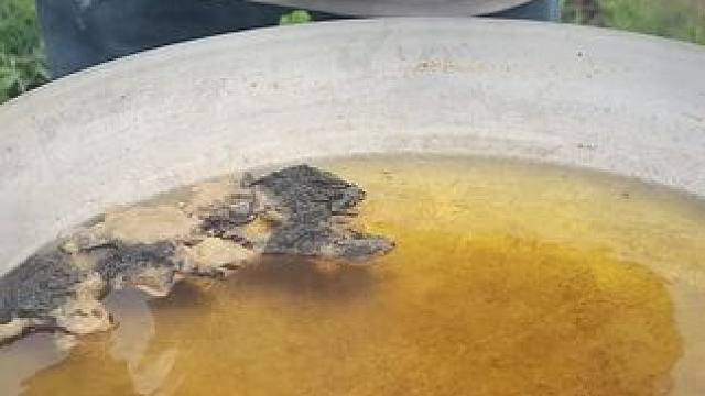 东南亚大叔3 #东南亚大叔#东南亚美食 #我的乡村生活 #农村美食记录生活 #农村生活美食