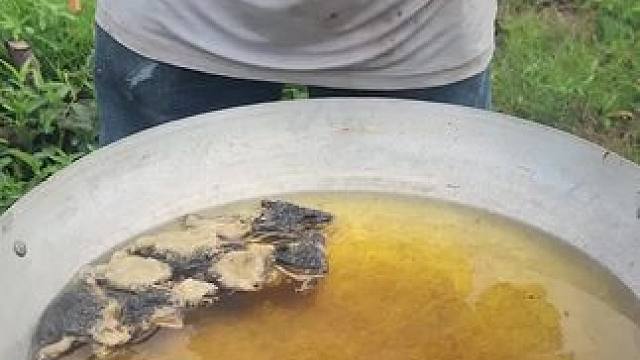 东南亚大叔2 #东南亚大叔#东南亚美食 #我的乡村生活 #农村美食记录生活 #农村生活美食