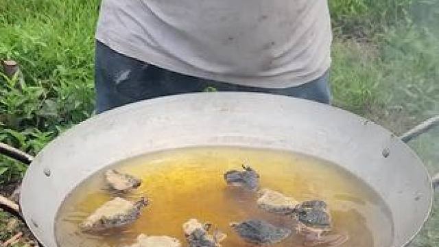 东南亚大叔1 #东南亚大叔#东南亚美食 #我的乡村生活 #农村美食记录生活 #农村生活美食