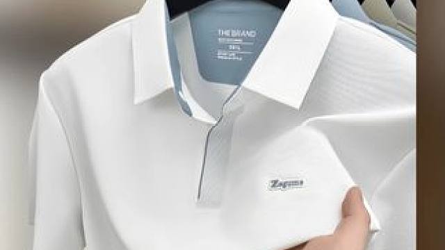 #夏季新款 #短袖t恤 #品质男装 #谁穿谁好看 #polo衫穿搭