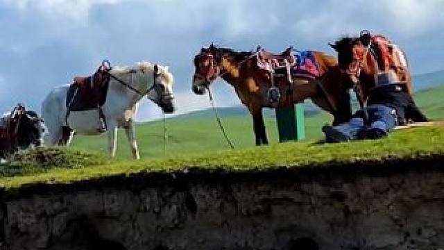 我们相约在蓝天下，我们又分别在天涯。就在这高高的高原上，洁白的帐蓬，盛开的格桑花，这就是我的家。高原