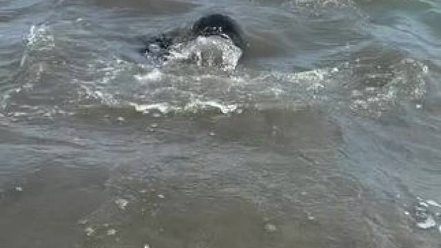 户外野餐 #户外野炊