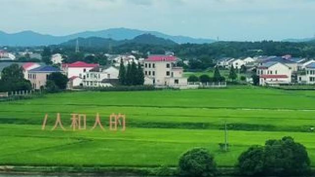 静静的坐着真的很好#最美乡村风景 #风景如画的地方 #旅行