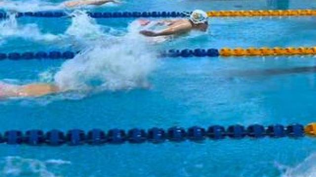 开启备战省锦赛模式！#游泳集训 #游泳训练