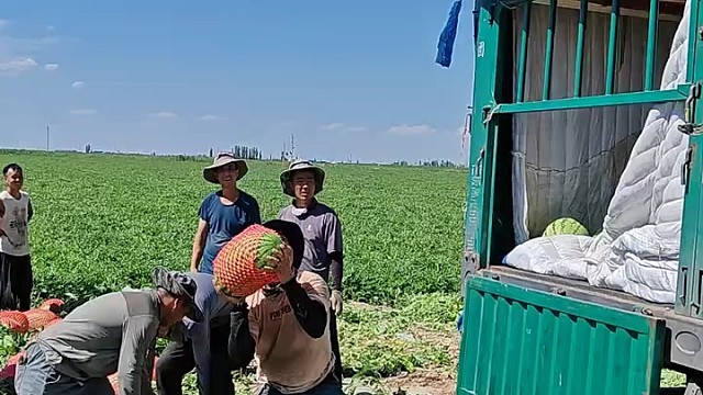 上扔14颗大西瓜太牛逼了