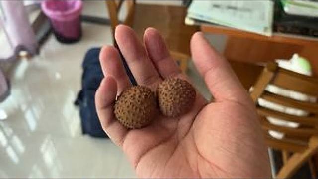 #荔枝 #盘玩 #日常生活 #小玩意