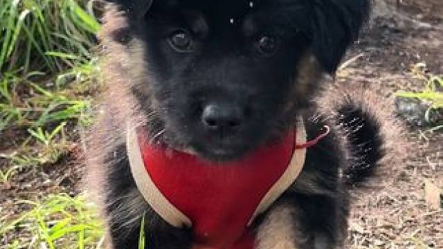 美丽的风景，像是兰若寺？