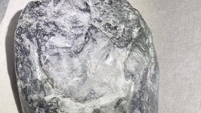 大个头。莫湾基27公斤。冰色。