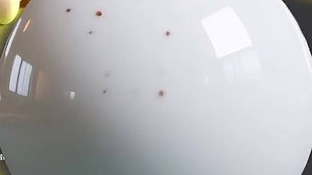 霸屏那一刻整个人都舒畅了#球球大作战 #球球大作战小游戏#球球霸屏挑战 #球球大作战VR