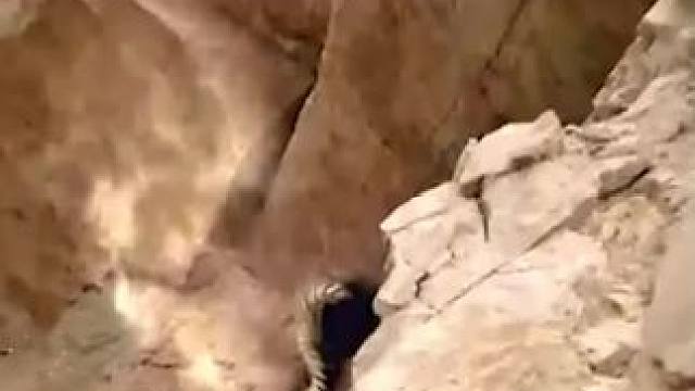 #西瓜视频 点击上方（红色按钮） 可看完整版 大结局太精彩了...《西瓜视频》，观看精彩后续《西瓜视