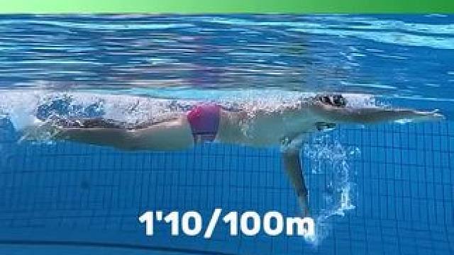 不一样速度下的自由泳动作频率，你更喜欢哪一种？ #自由泳 #游泳训练 #游泳 #学游泳 #自由泳训练