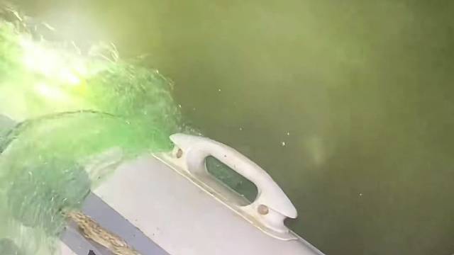 #户外捕鱼大队 #捕鱼河边随拍 #捕捞现场  #丝网捕鱼