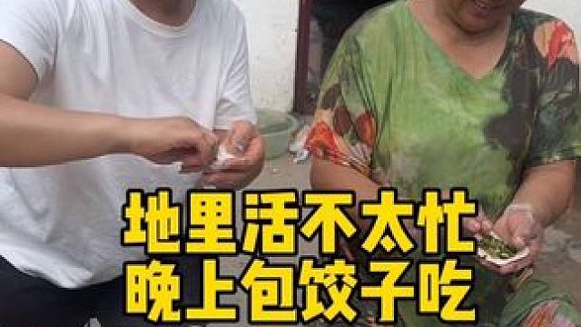 今天地里活不多 我和哥哥去镇上买了点鲜肉回来 傍晚天气凉快了点哥哥和嫂子去地里把花生地剩的农药打打 