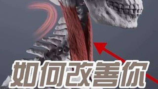 如何改善你头前倾的体态？不要只是一味的拉伸那些紧张的颈部肌肉 不要只是盯着那些好像紧张的肌肉不放了，