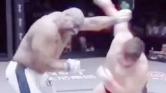 #创作者中心 #创作灵感#中国功夫熊猫打败外国高手#弘扬中华武术传承中华精神 #格斗 #ONE冠军赛