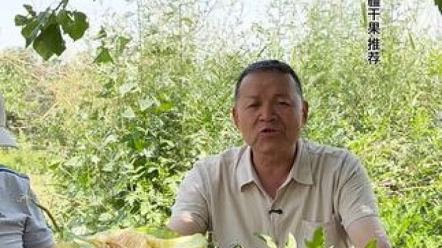 #我的乡村生活 #优质农产品 #原创视频