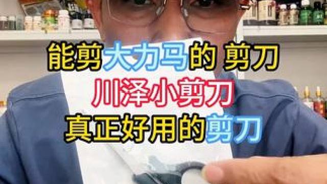 能剪大力马的钓鱼剪刀，川泽小钓鱼剪刀，真正好用的钓鱼剪刀 能剪大力马的钓鱼剪刀，川泽小钓鱼剪刀，真正