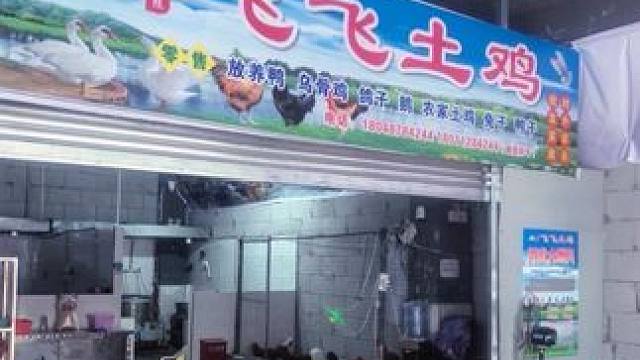 飞飞土鸡 高品质散养土鸡#土鸡 #土鸡汤 #太美味了 #散养土鸡 #心动榜单