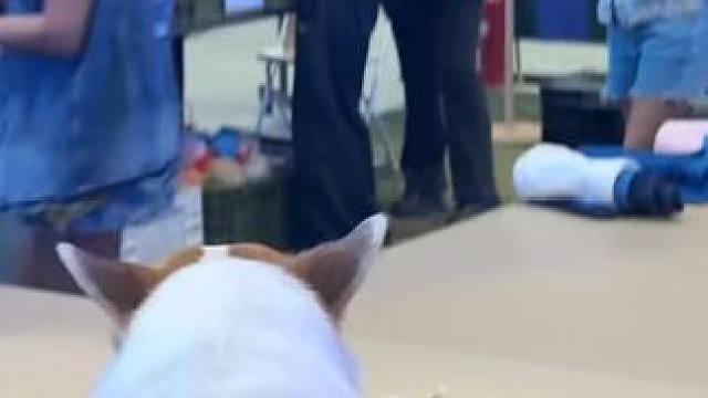 把我放这市集我能逛一整天#上海市集现场潮到人风湿