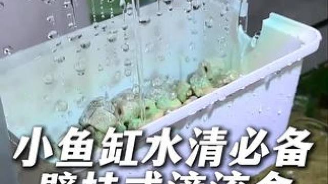 这个挂壁式过滤盒只要十几块钱，还带干湿分离，雨淋过滤，划算！ #鱼缸过滤 #过滤盒 #壁挂式过滤器 