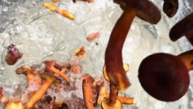 #奶浆菌#我的乡村生活#地方特色美食#双凤#新农人计划2025