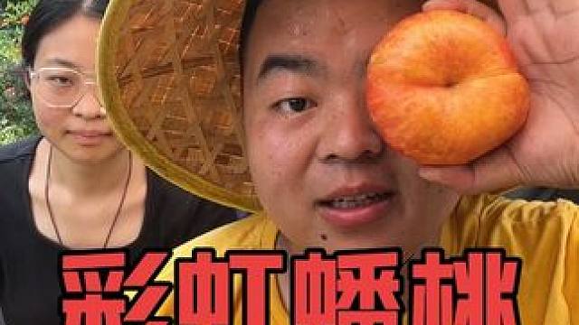 彩虹蟠桃上线 每年爆款 产地直发 #应季水果 #快来一起尝个鲜 #优质农产品