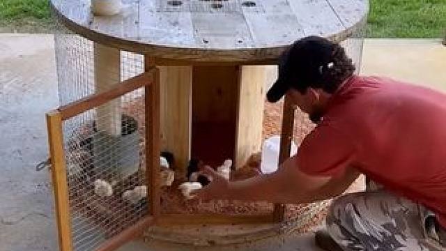 养殖有妙招，这些自制养殖神器太有才了 #养殖 #劳动人民的智慧 #自制工具 #养殖技巧