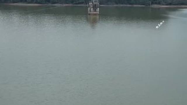 这里是广东唯一泡在水中长达60年的碉楼，建于1921年，碉楼建好后，房主就远赴海外，从此不见回！#旅