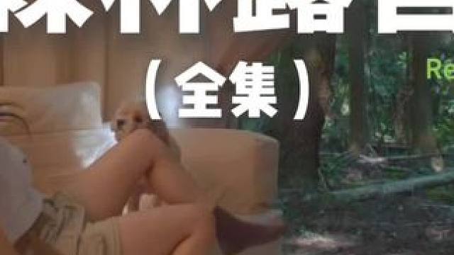 森林露营（全集）幽静的森林真是放松的好去处~#露营 #解压 #助眠 #萌宠 #户外露营