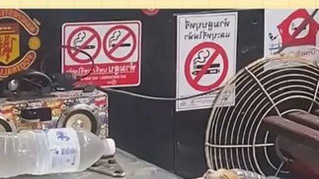 他们就这样，陪伴彼此走过一站又一站 #猫咪 #公交车  #治愈 #感动