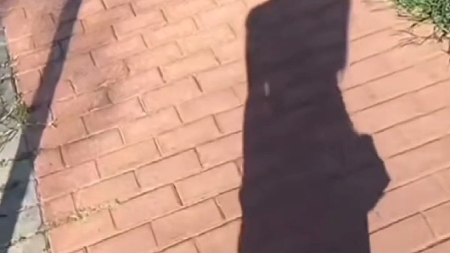 给你阳光你就灿烂