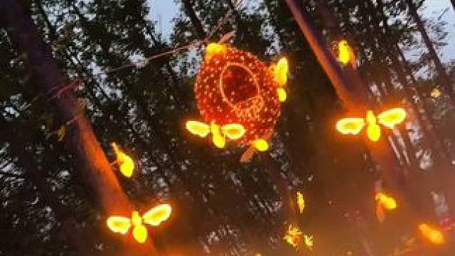 信阳国潮昆虫秘境~