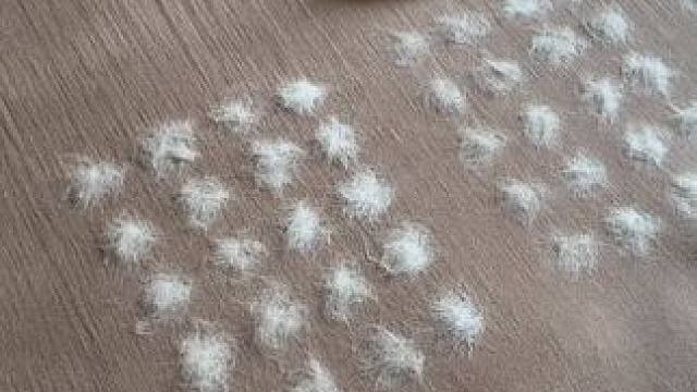 拜托，最后一个效果也太好了吧 #玩个很新的东西 #除毛神器