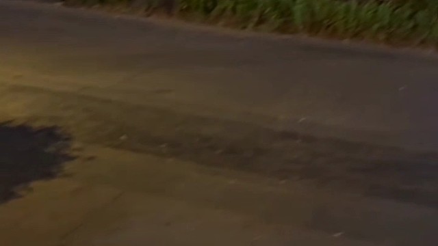 有人给你唱吗、我给你唱