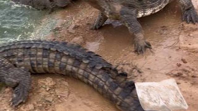 告诉你老大我来找他了#非专业人士请勿模仿