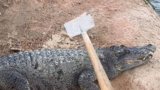 下去告诉你老大上来接待一下，大王来了#非专业人士请勿模仿