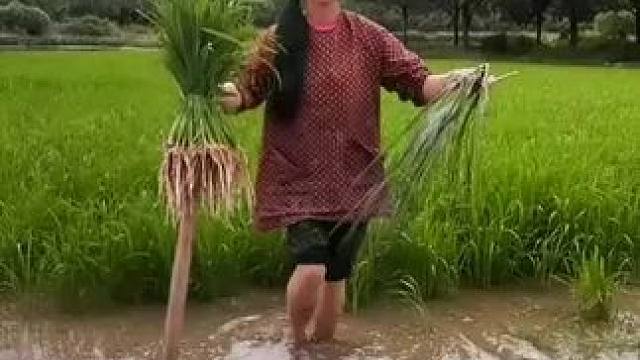 山卡卡里的农村大姐学费了开直播每天收获满满您还在恐播怕播不敢开播开播了不知说什么吗#记录真实生活 #