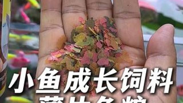这个德彩薄片鱼粮，是德国进口鱼粮，富含小鱼成长所需各种营养。 #鱼粮 #喂鱼 #德彩鱼粮 #观赏鱼 