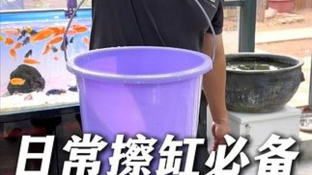 又找到一个便宜好用的强磁磁力刷，这就是让水族店鱼缸透亮的秘密 #磁力刷 #擦缸 #鱼缸清洁 #鱼缸除