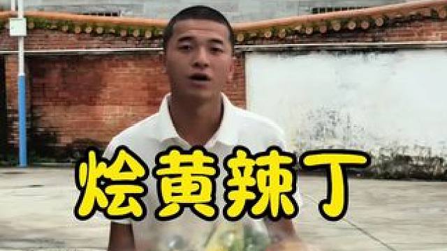 烩黄辣丁#农村生活#回村后的我 #新农人2025计划#乡村守护人