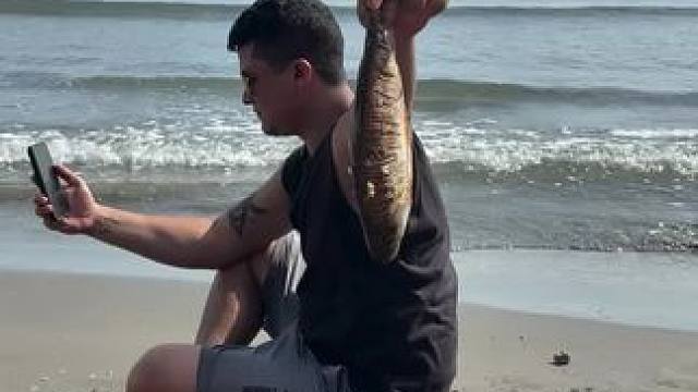 非洲美食 #海滩海滩 #海边拍照 #日常生活 #其实幸福就这么简单努力赚钱的样子最帅 #手工皱纸花制