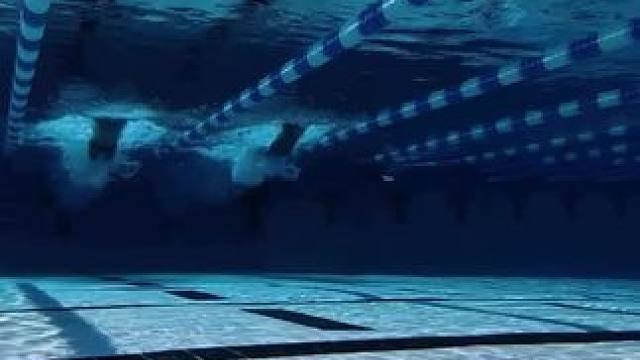 水下视角欣赏蝶泳动作 #蝶泳 #游泳 #游泳训练 #蝶泳训练