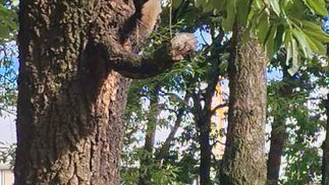 #人与自然和谐共处 #打开美好生活 #万物有灵