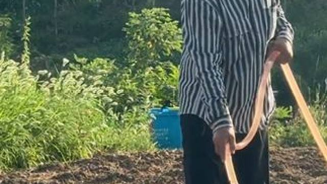 鲲鹏种地豆子没出，我和俺妈、二姨又从点地