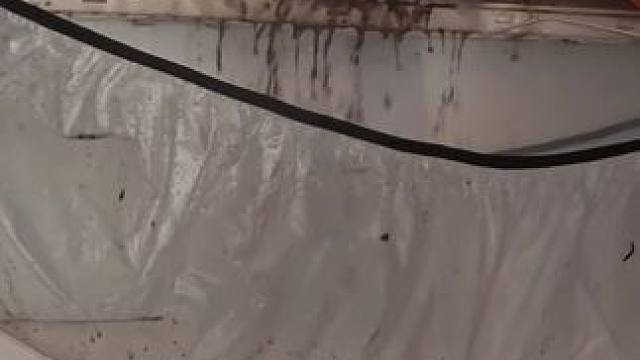 空调不清洗，你知道有多脏吗？#空调清洗