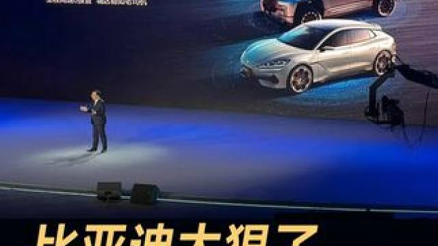 比亚迪太狠了，智驾撞了直接赔！#比亚迪  #智驾  #智能泊车  #L4级  #新能源汽车