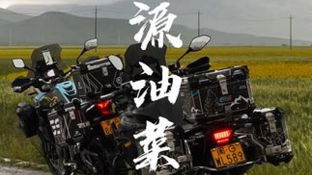 你能在浪费时间中获得快乐，诗和远方也具象化了#凯越525x #贝纳利502x #青海 #门源